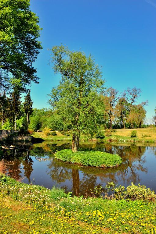 Palac Jablonowo Bed and Breakfast Ujście Exteriör bild
